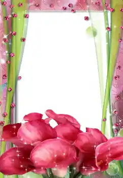 Efekt zdjęciowy z kategorii Ramki dla kobiet № 67316 Efekt zdjęciowy z kategorii Ramki dla kobiet № 67316