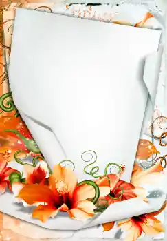 Efekt zdjęciowy z kategorii Ramki dla kobiet № 68450 Efekt zdjęciowy z kategorii Ramki dla kobiet № 68450