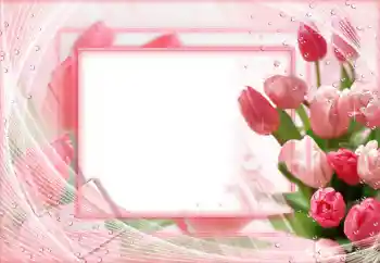 Efekt zdjęciowy z kategorii Ramki dla kobiet № 68546 Efekt zdjęciowy z kategorii Ramki dla kobiet № 68546