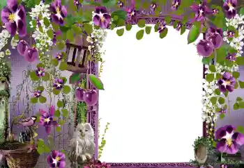 Efekt zdjęciowy z kategorii Ramki dla kobiet № 68582 Efekt zdjęciowy z kategorii Ramki dla kobiet № 68582