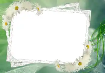 Efekt zdjęciowy z kategorii Ramki dla kobiet № 68583 Efekt zdjęciowy z kategorii Ramki dla kobiet № 68583
