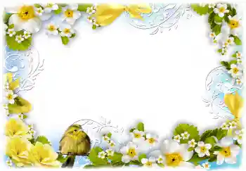 Efekt zdjęciowy z kategorii Ramki dla kobiet № 68720 Efekt zdjęciowy z kategorii Ramki dla kobiet № 68720