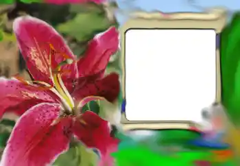 Efekt zdjęciowy z kategorii Ramki dla kobiet № 69843 Efekt zdjęciowy z kategorii Ramki dla kobiet № 69843