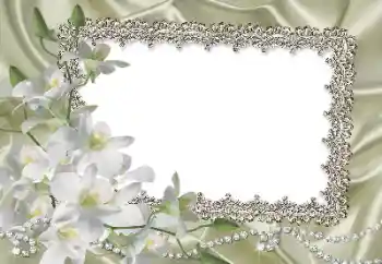 Efekt zdjęciowy z kategorii Ramki dla kobiet № 69861 Efekt zdjęciowy z kategorii Ramki dla kobiet № 69861