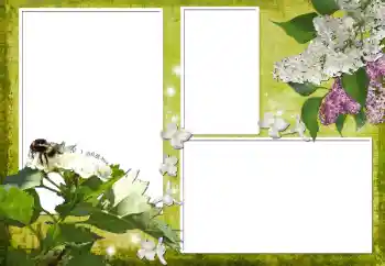 Efekt zdjęciowy z kategorii Ramki dla kobiet № 70903 Efekt zdjęciowy z kategorii Ramki dla kobiet № 70903