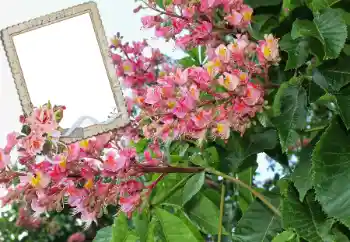 Efekt zdjęciowy z kategorii Ramki dla kobiet № 72109 Efekt zdjęciowy z kategorii Ramki dla kobiet № 72109