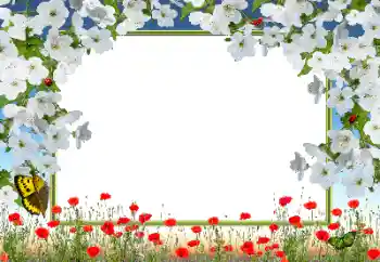 Efekt zdjęciowy z kategorii Ramki dla kobiet № 72133 Efekt zdjęciowy z kategorii Ramki dla kobiet № 72133