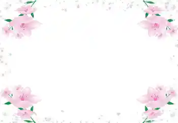 Efekt zdjęciowy z kategorii Ramki dla kobiet № 72430 Efekt zdjęciowy z kategorii Ramki dla kobiet № 72430