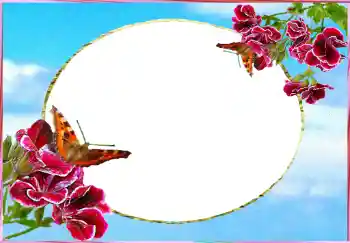 Efekt zdjęciowy z kategorii Ramki dla kobiet № 73784 Efekt zdjęciowy z kategorii Ramki dla kobiet № 73784