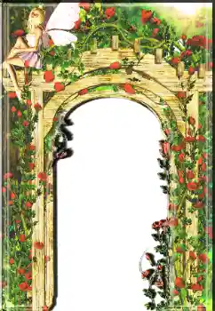 Efekt zdjęciowy z kategorii Ramki dla kobiet № 7510