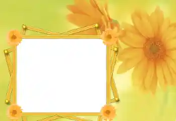 Efekt zdjęciowy z kategorii Ramki dla kobiet № 76821 Efekt zdjęciowy z kategorii Ramki dla kobiet № 76821