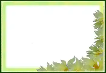 Efekt zdjęciowy z kategorii Ramki dla kobiet № 79029 Efekt zdjęciowy z kategorii Ramki dla kobiet № 79029