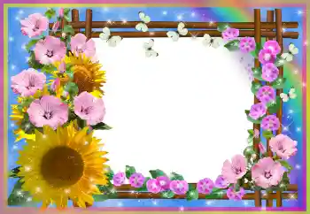 Efekt zdjęciowy z kategorii Ramki dla kobiet № 80252 Efekt zdjęciowy z kategorii Ramki dla kobiet № 80252