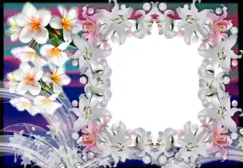 Efekt zdjęciowy z kategorii Ramki dla kobiet № 80383 Efekt zdjęciowy z kategorii Ramki dla kobiet № 80383