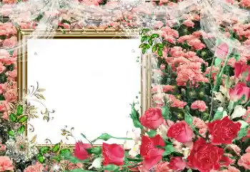 Efekt zdjęciowy z kategorii Ramki dla kobiet № 80390 Efekt zdjęciowy z kategorii Ramki dla kobiet № 80390