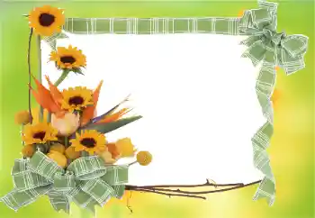 Efekt zdjęciowy z kategorii Ramki dla kobiet № 81823 Efekt zdjęciowy z kategorii Ramki dla kobiet № 81823