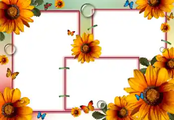 Efekt zdjęciowy z kategorii Ramki dla kobiet № 84175 Efekt zdjęciowy z kategorii Ramki dla kobiet № 84175