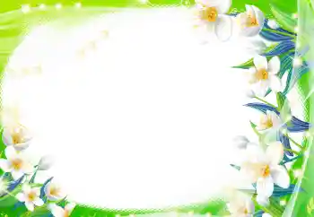 Efekt zdjęciowy z kategorii Ramki dla kobiet № 8470