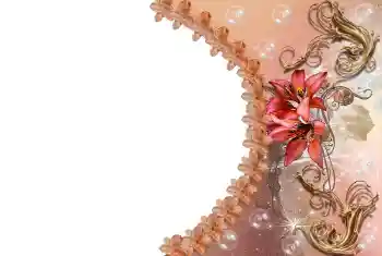 Efekt zdjęciowy z kategorii Ramki dla kobiet № 85309 Efekt zdjęciowy z kategorii Ramki dla kobiet № 85309