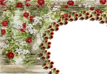 Efekt zdjęciowy z kategorii Ramki dla kobiet № 85429 Efekt zdjęciowy z kategorii Ramki dla kobiet № 85429