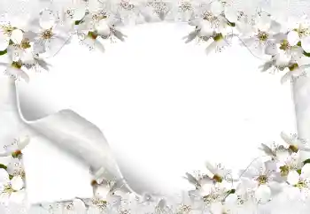 Efekt zdjęciowy z kategorii Ramki dla kobiet № 8554