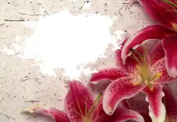 Efekt zdjęciowy z kategorii Ramki dla kobiet № 8596