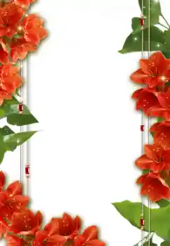 Efekt zdjęciowy z kategorii Ramki dla kobiet № 8632