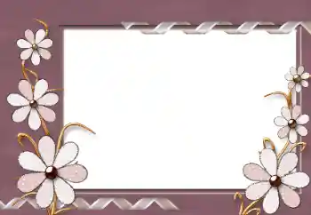 Efekt zdjęciowy z kategorii Ramki dla kobiet № 86584 Efekt zdjęciowy z kategorii Ramki dla kobiet № 86584