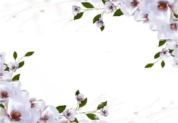 Efekt zdjęciowy z kategorii Ramki dla kobiet № 87722 Efekt zdjęciowy z kategorii Ramki dla kobiet № 87722