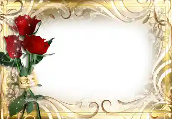 Efekt zdjęciowy z kategorii Ramki dla kobiet № 89226 Efekt zdjęciowy z kategorii Ramki dla kobiet № 89226