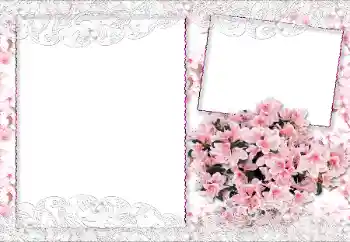 Efekt zdjęciowy z kategorii Ramki dla kobiet № 89229 Efekt zdjęciowy z kategorii Ramki dla kobiet № 89229