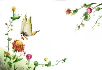 Efekt zdjęciowy z kategorii Ramki dla kobiet № 89260 Efekt zdjęciowy z kategorii Ramki dla kobiet № 89260