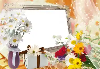 Efekt zdjęciowy z kategorii Ramki dla kobiet № 89424 Efekt zdjęciowy z kategorii Ramki dla kobiet № 89424