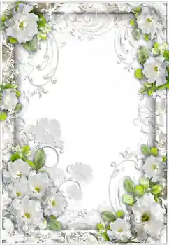 Efekt zdjęciowy z kategorii Ramki dla kobiet № 89495 Efekt zdjęciowy z kategorii Ramki dla kobiet № 89495