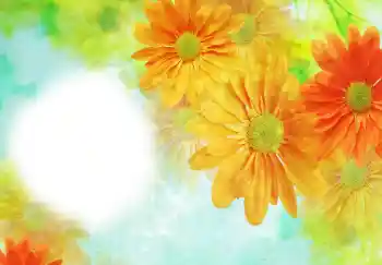 Efekt zdjęciowy z kategorii Ramki dla kobiet № 91723 Efekt zdjęciowy z kategorii Ramki dla kobiet № 91723