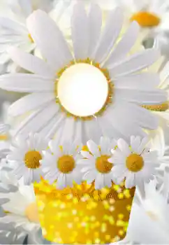 Efekt zdjęciowy z kategorii Ramki dla kobiet № 91798 Efekt zdjęciowy z kategorii Ramki dla kobiet № 91798