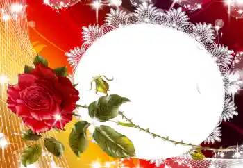 Efekt zdjęciowy z kategorii Ramki dla kobiet № 93130 Efekt zdjęciowy z kategorii Ramki dla kobiet № 93130