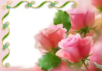 Efekt zdjęciowy z kategorii Ramki dla kobiet № 93171 Efekt zdjęciowy z kategorii Ramki dla kobiet № 93171