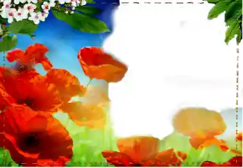 Efekt zdjęciowy z kategorii Ramki dla kobiet № 93217 Efekt zdjęciowy z kategorii Ramki dla kobiet № 93217