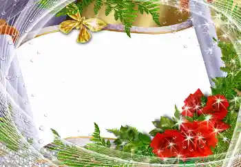 Efekt zdjęciowy z kategorii Ramki dla kobiet № 93282 Efekt zdjęciowy z kategorii Ramki dla kobiet № 93282