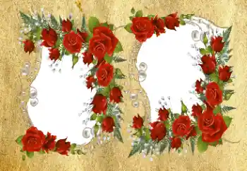 Efekt zdjęciowy z kategorii Ramki dla kobiet № 94576 Efekt zdjęciowy z kategorii Ramki dla kobiet № 94576