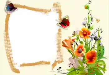 Efekt zdjęciowy z kategorii Ramki dla kobiet № 94578 Efekt zdjęciowy z kategorii Ramki dla kobiet № 94578