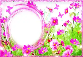 Efekt zdjęciowy z kategorii Ramki dla kobiet № 94713 Efekt zdjęciowy z kategorii Ramki dla kobiet № 94713