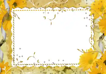 Efekt zdjęciowy z kategorii Ramki dla kobiet № 94746 Efekt zdjęciowy z kategorii Ramki dla kobiet № 94746