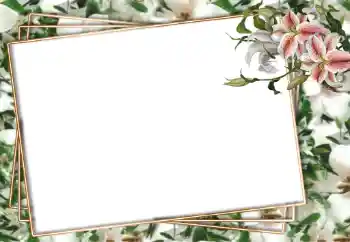 Efekt zdjęciowy z kategorii Ramki dla kobiet № 94751 Efekt zdjęciowy z kategorii Ramki dla kobiet № 94751