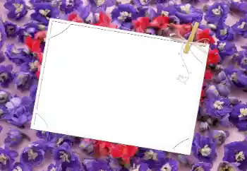 Efekt zdjęciowy z kategorii Ramki dla kobiet № 9481