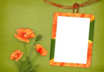 Efekt zdjęciowy z kategorii Ramki dla kobiet № 94833 Efekt zdjęciowy z kategorii Ramki dla kobiet № 94833