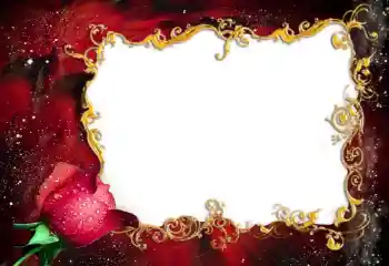 Efekt zdjęciowy z kategorii Ramki dla kobiet № 94837 Efekt zdjęciowy z kategorii Ramki dla kobiet № 94837