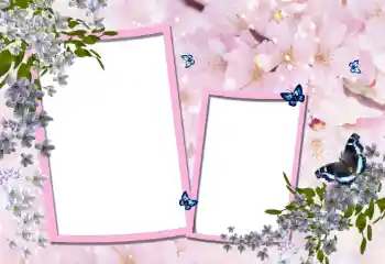 Efekt zdjęciowy z kategorii Ramki dla kobiet № 95900 Efekt zdjęciowy z kategorii Ramki dla kobiet № 95900