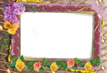 Efekt zdjęciowy z kategorii Ramki dla kobiet № 95902 Efekt zdjęciowy z kategorii Ramki dla kobiet № 95902